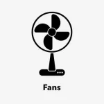 fans